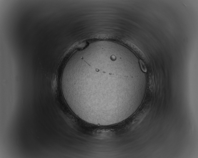 X0000100310208200806190949