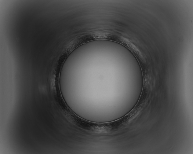 X0000100310209200806190949