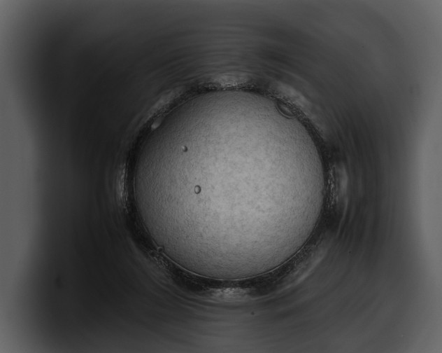 X0000100310212200806190949