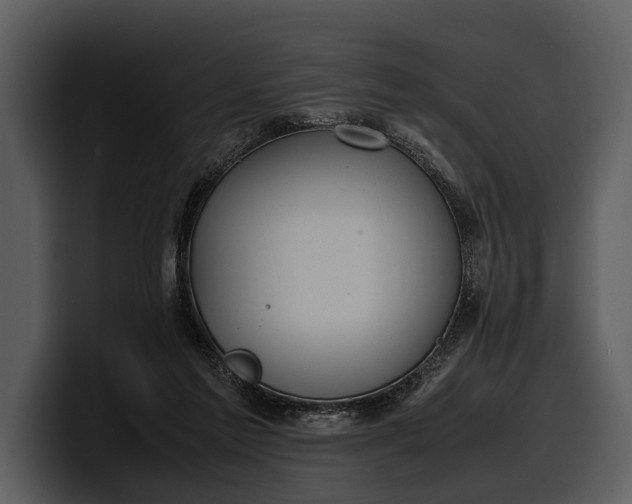 X0000100310213200806190949