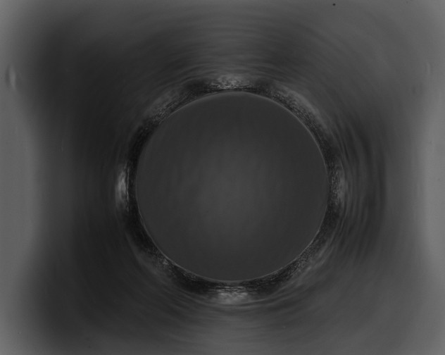 X0000100310214200806190949