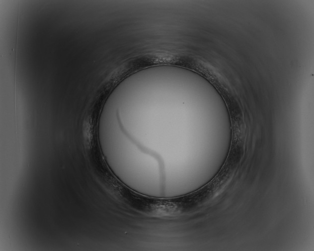 X0000100310215200806190949