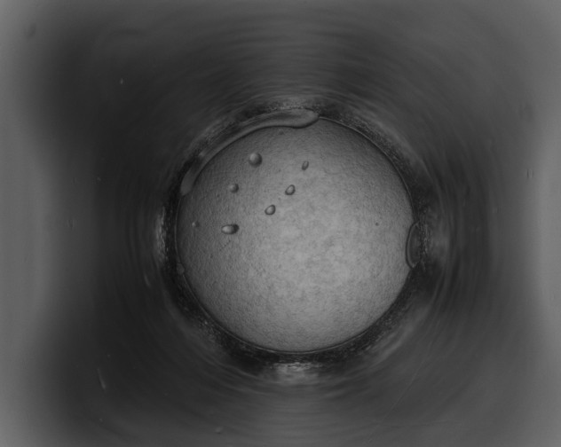 X0000100310216200806190949