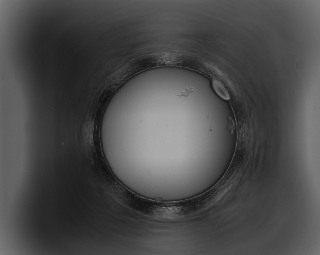 X0000100310217200806190949