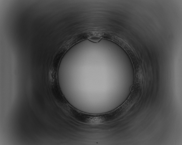 X0000100310218200806190949