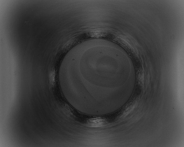 X0000100310219200806190949