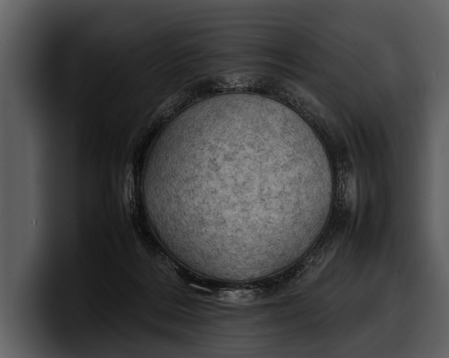 X0000100310220200806190949