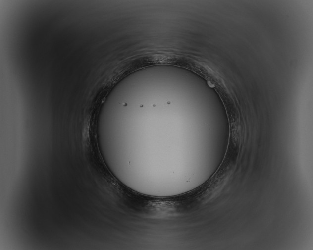 X0000100310221200806190949