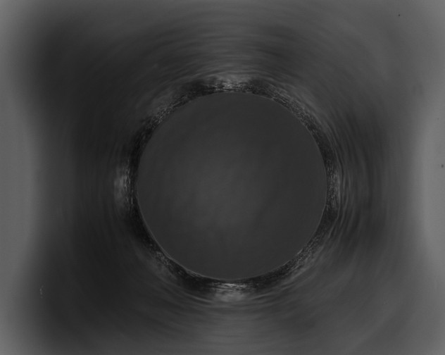 X0000100310222200806190949