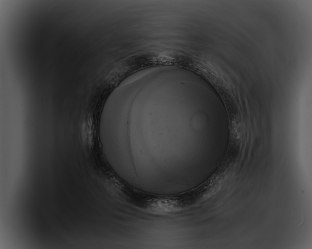 X0000100310223200806190949