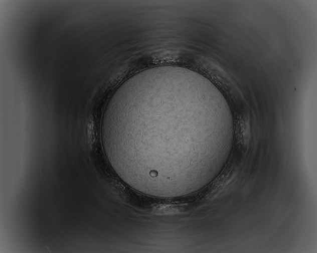 X0000100310224200806190949