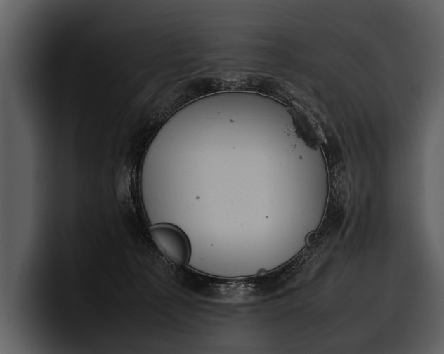 X0000100310225200806190949