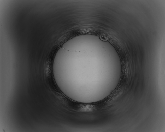 X0000100310226200806190949