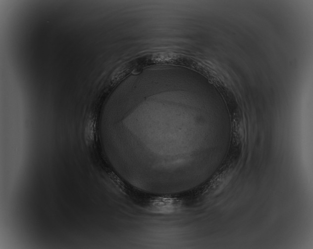 X0000100310227200806190949