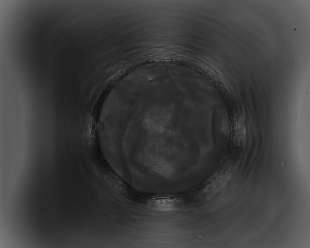 X0000100310228200806190949