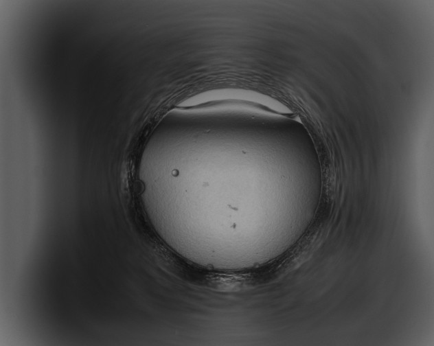 X0000100310229200806190949