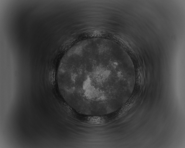 X0000100310230200806190949