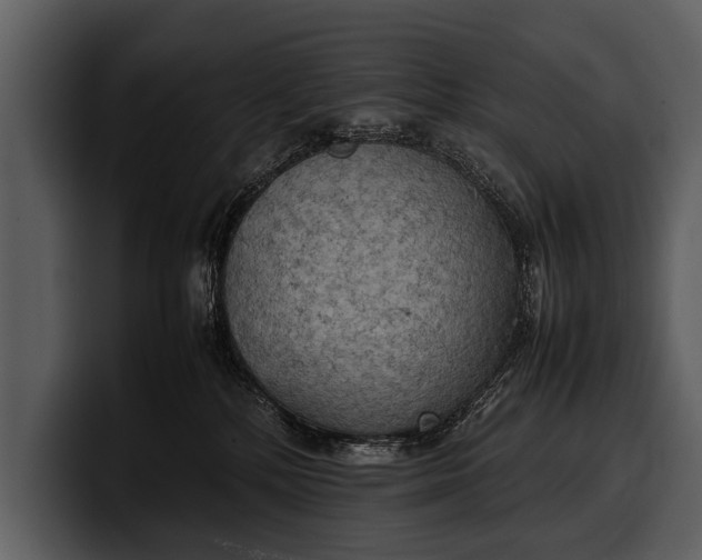 X0000100310232200806190949