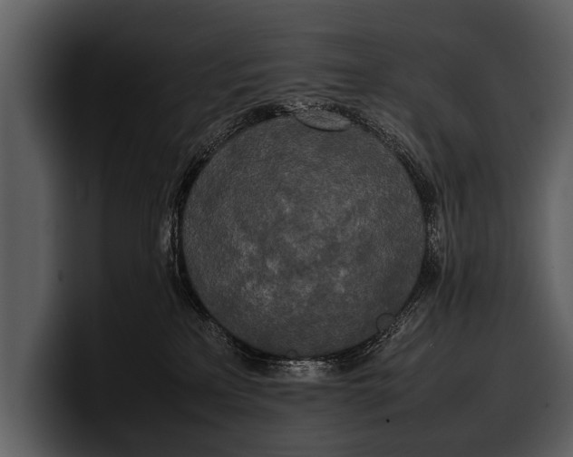 X0000100310233200806190949