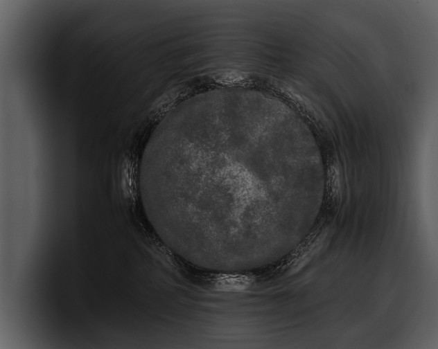 X0000100310234200806190949