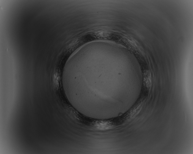 X0000100310235200806190949