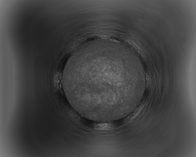 X0000100310237200806190949