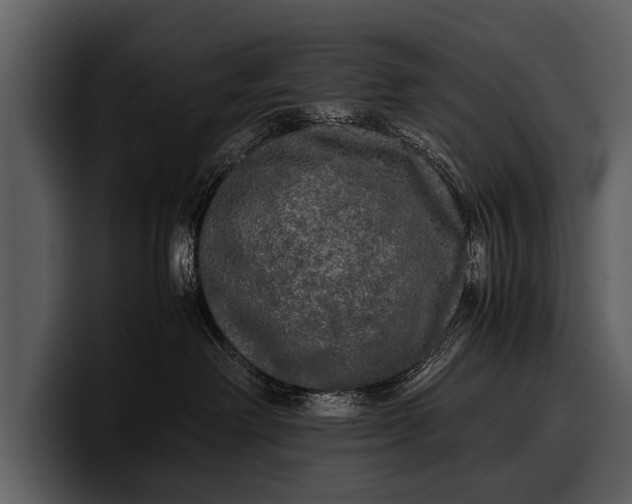 X0000100310238200806190949