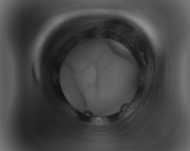 X0000100310239200806190949