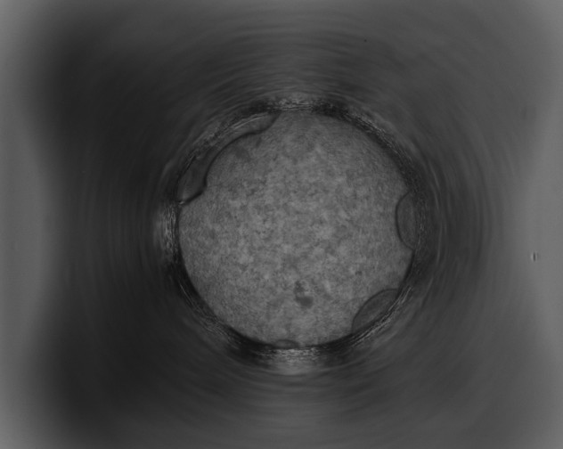 X0000100310240200806190949