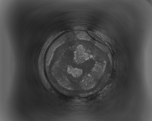X0000100310241200806190948