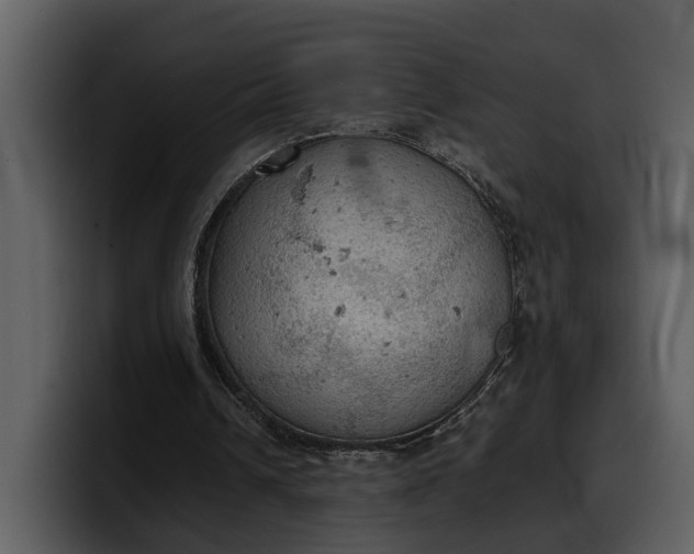 X0000100310242200806190948