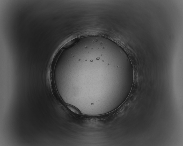 X0000100310244200806190948