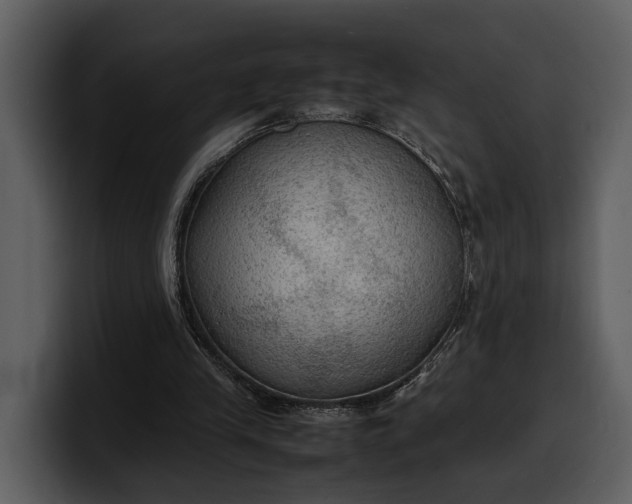 X0000100310245200806190948