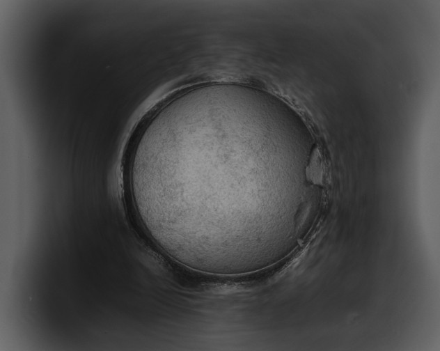 X0000100310246200806190948