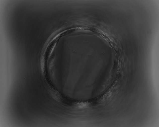 X0000100310247200806190948