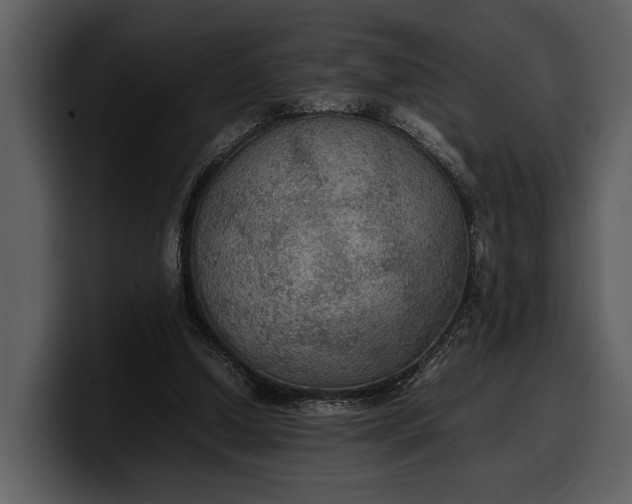 X0000100310250200806190948