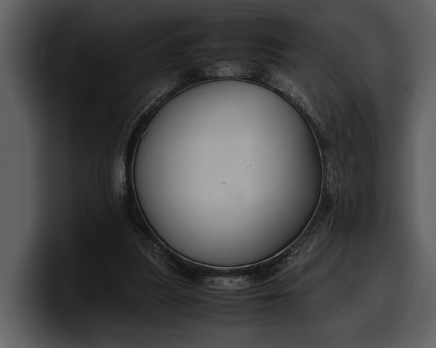 X0000100310251200806190948