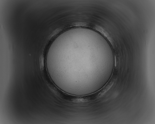 X0000100310253200806190948