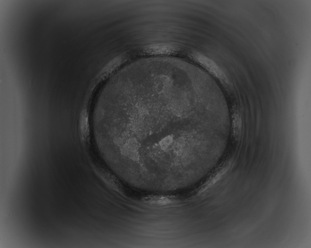 X0000100310254200806190948