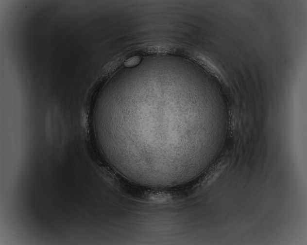 X0000100310258200806190948