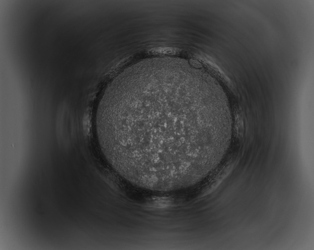X0000100310259200806190948