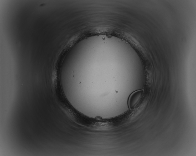 X0000100310260200806190948