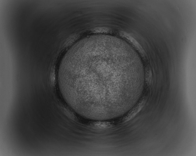 X0000100310261200806190948