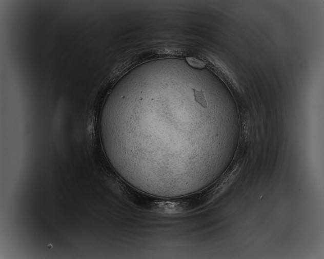 X0000100310265200806190948