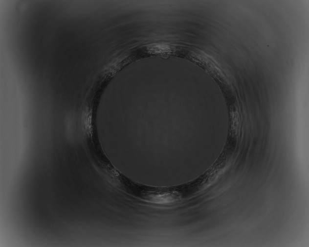 X0000100310267200806190948