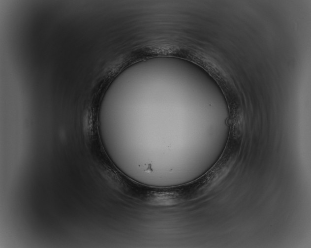X0000100310268200806190948