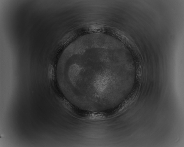 X0000100310270200806190948
