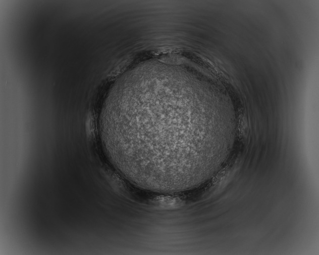 X0000100310272200806190948