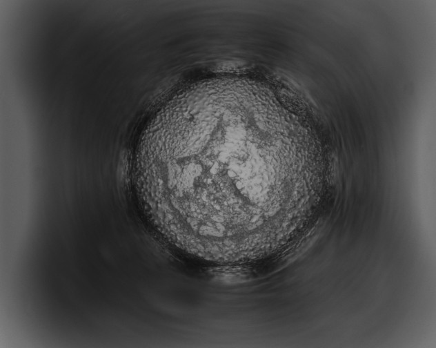 X0000100310273200806190948