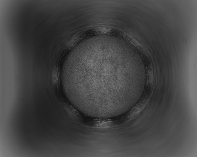 X0000100310274200806190948